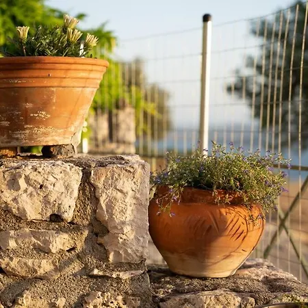 Brian & Dora's House In Kontogourata * Kardhakáta