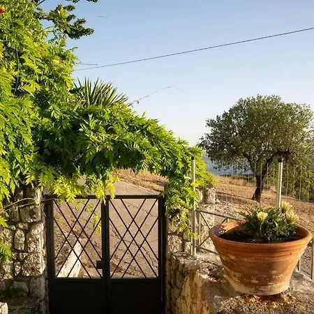 Brian & Dora's House In Kontogourata *