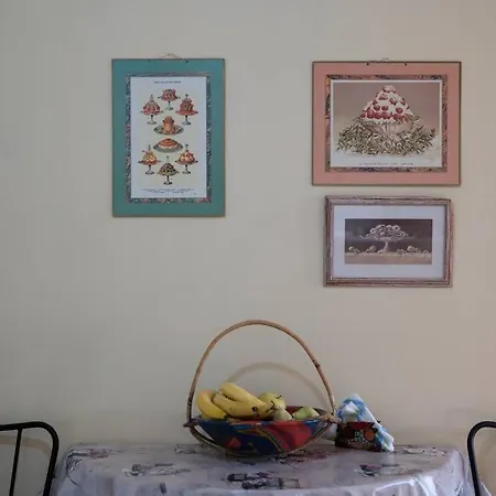 Brian & Dora's House In Kontogourata Daire *